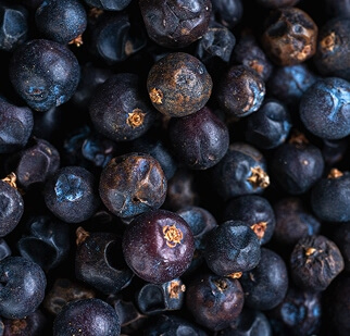 Juniper berries