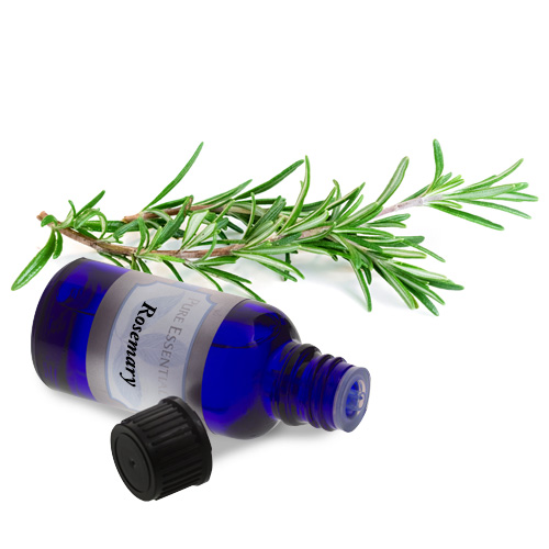 bulk rosemary essential oil