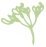 Illustration of Catnip