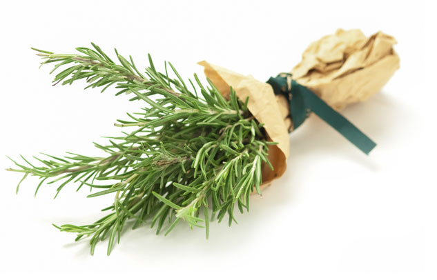 rosemary
