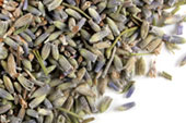 Lavender flower (Extra), grey color image