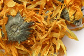 Marigold (calendula) , whole organic image