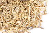 Nettle Root, c/s Organic image