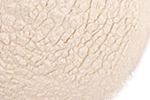 Pineapple Juice, powder image