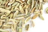 Fennel seed, whole image