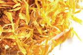 Marigold (calendula), whole Organic image