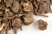Valerian root, c/s image