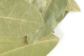 Bay leaf image